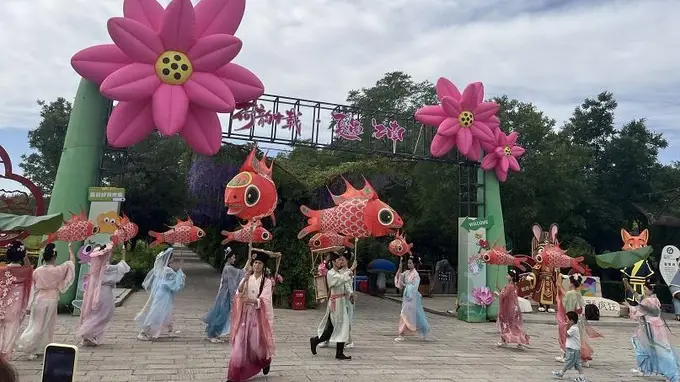 鸣翠湖荷花节：国风避暑，体验江南诗意新玩法