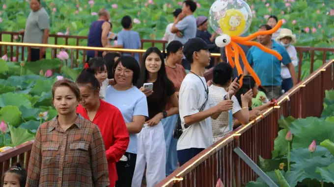 “荷乡藕遇”湿地公园启幕 博乐“荷美贝乡 好运莲莲”夏日系列活动精彩开启
