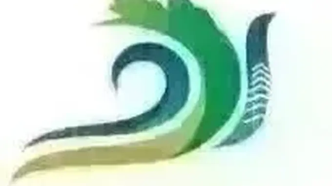 暑期去永济 跟着精品线路解锁诗意研学之旅