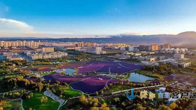 盛花期已至~金昌市紫金苑景区迎来年度最佳赏花期