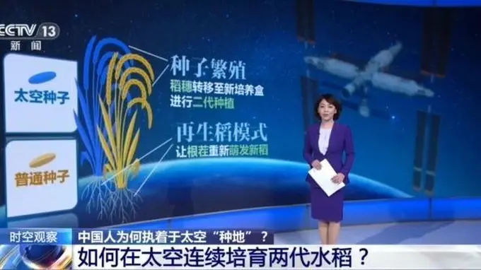 中国人在太空种蔬菜！神舟十四号乘组中秋培育出首批可食用太空生菜