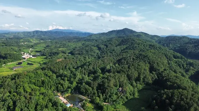 凉亭乡“果树进村”绘就此山此景此乡情