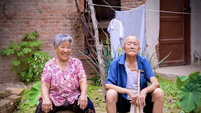 29岁曹县姑娘博士毕业穿博士服回老家 把麦穗别在帽檐与姥姥姥爷合影