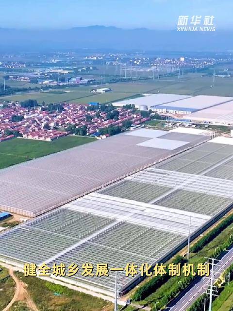 总书记讲述的党史故事丨“中国改革的一声惊雷”
