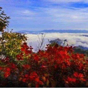 错峰出行！白河庙山寨景区日最大承载量公布！