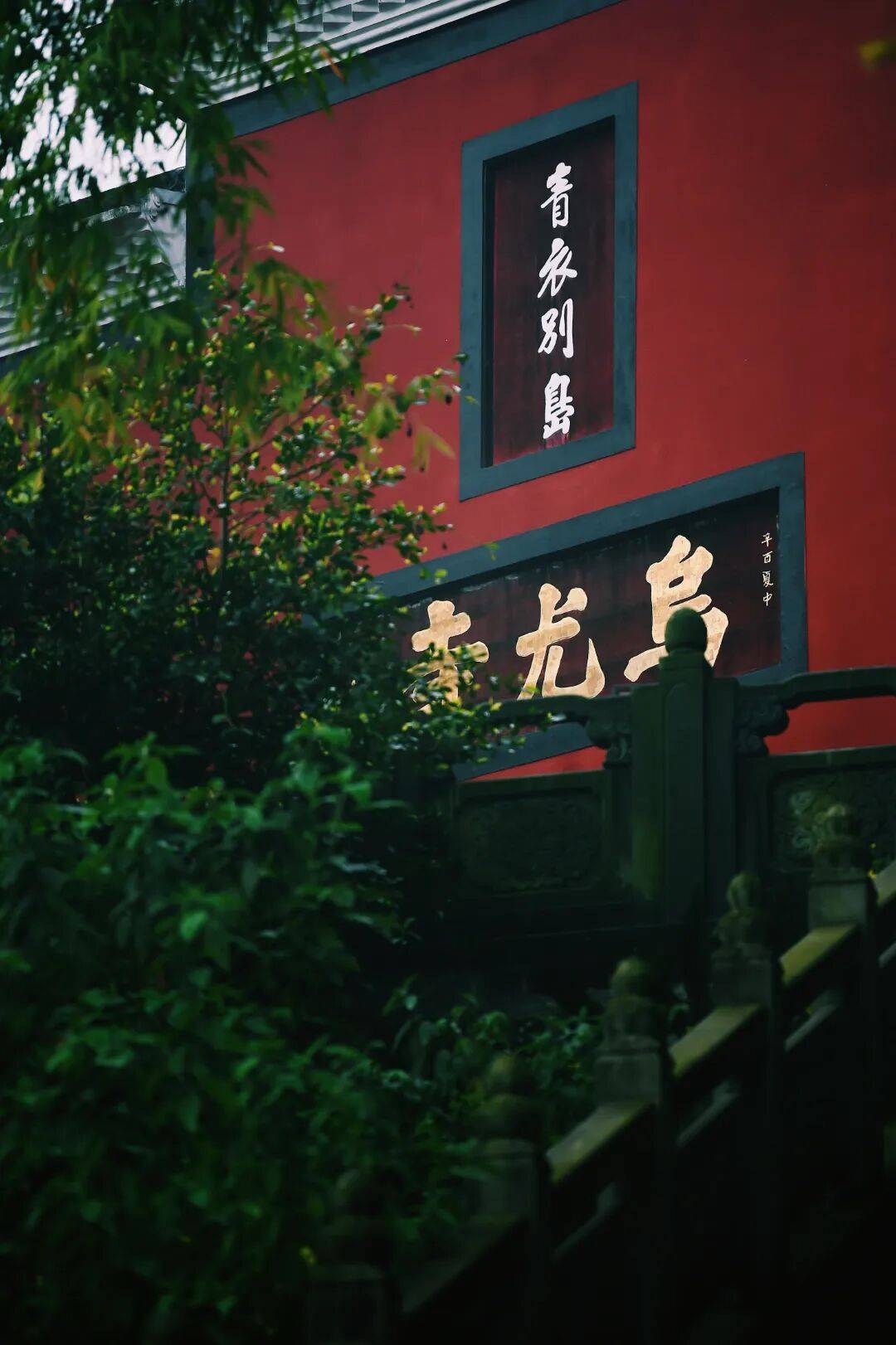 小众还免费！就在乐山城边上！快去森系徒步拍花海啦~