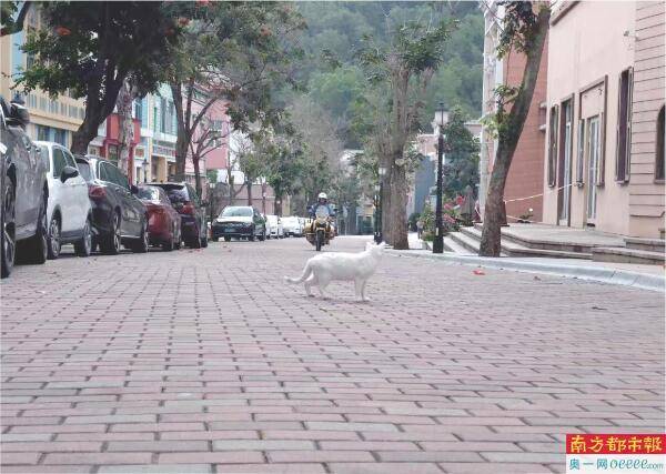 告别“大拆大建” 老牌存量景区破局“解药”在何方