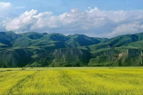 珍藏版攻略：夏日伊犁七日深度游，从赛里木湖到喀拉峻，本地向导教你看遍雪山湖泊与无边花海