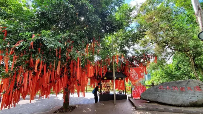 夏季避暑旅游实用攻略：科学避暑，安全出行