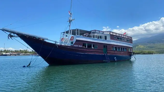 印尼游轮夜间被巨浪击沉，中国游客海上漂流四五小时获救