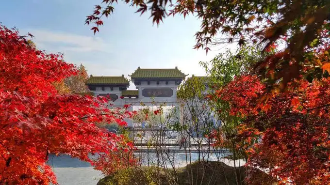 大伊山——连云港人私藏周末松弛宝地 全龄适配超火游玩指南