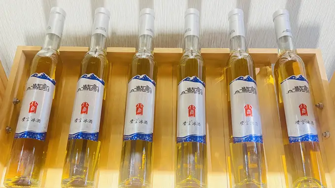 紫言酒庄山葡萄冰酒：酿造之道显独特民族风格