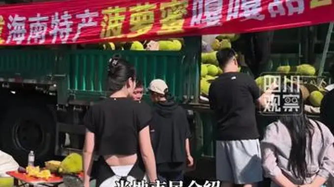 哈尔滨全城追菠萝蜜