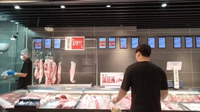 猪价反弹20%重回“10元时代”,上市猪企仍在亏损,行业反转还有多远?