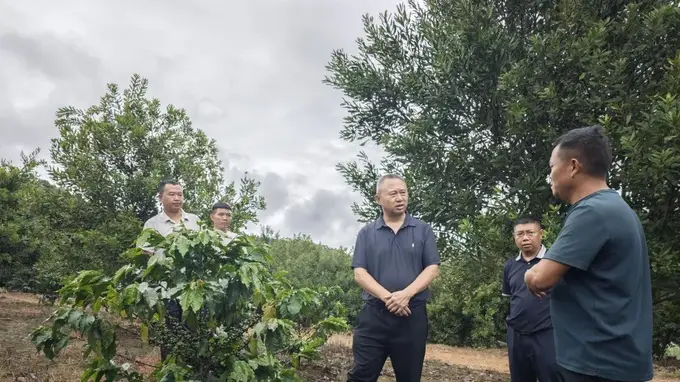 市政协副主席张发云率调研组开展咖啡产业发展情况调研