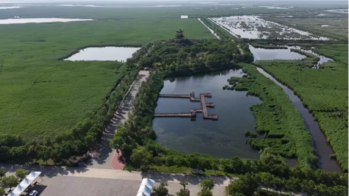 南大港湿地上榜沧德衡跨区域精品旅游线路