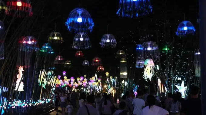 “南宁夜花园”活动暑期引客夜游 千亩光影区亮灯开放