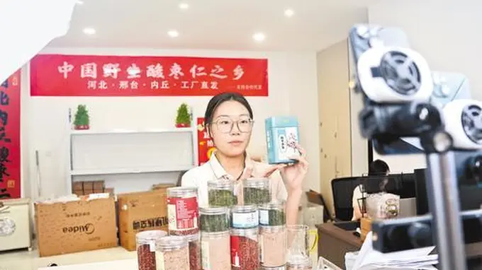 酸枣芽炒茶变网红茶 两月热卖八千斤