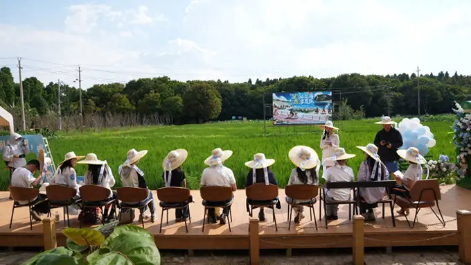 22℃呈贡暑期文旅盛宴：游花海、摘葡萄、跳火把、逛潮集、听音乐会