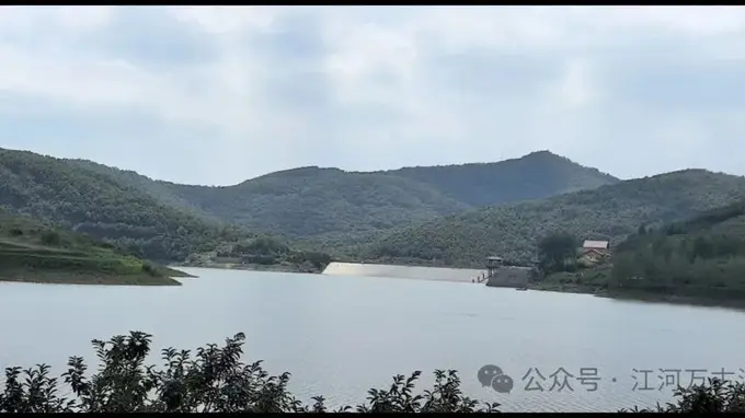 黑虎山：漫步一万八千亩林的海洋 寻见灵动狐与狼的生命盛景