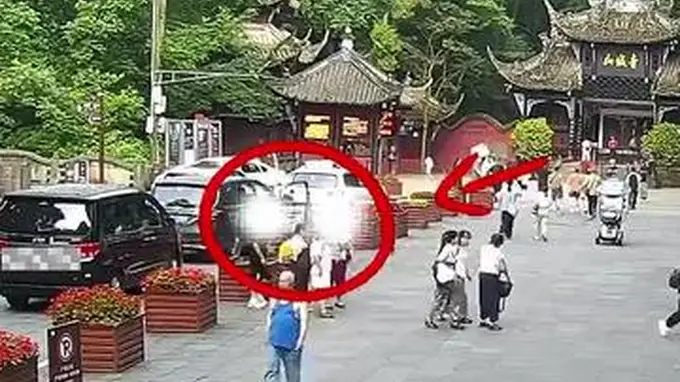 成都青城山“野路子”带客逃票团伙落网：这不是省钱攻略而是违法行为