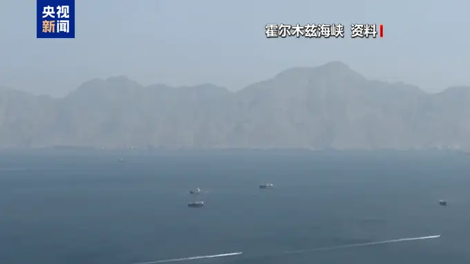 游客油菜花海遭蜂群围攻 当地回应称或因无人机惊扰