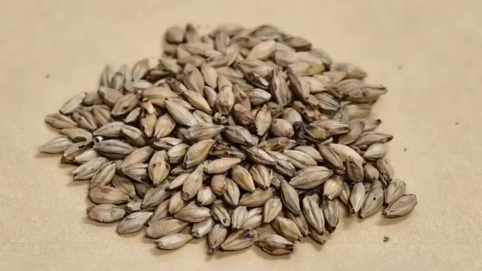 麦芽陈皮茶：理气消胀解腻，专为饭后油腻胀气人群打造