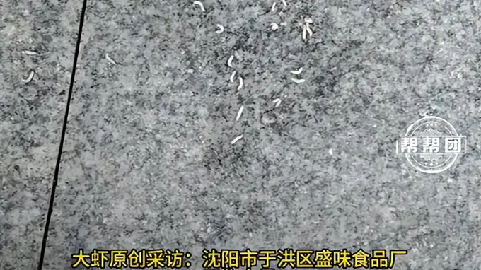 沈阳盛味食品厂烤肉食材托盘惊现腐肉蛆虫 市监介入企业停工整改