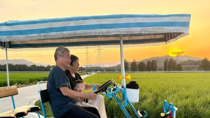 晚年莫让遗憾留 五十公里外的洱海酸菜鱼成未了心愿