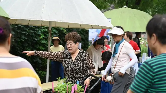 仓南胡同12号院“花友群”，种出14个民族邻里情