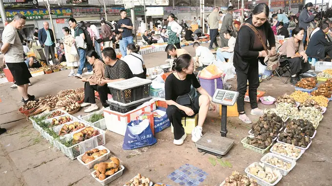“有一种叫云南的生活”昆明站 赶菜GAI子邂逅蘑力文旅潮