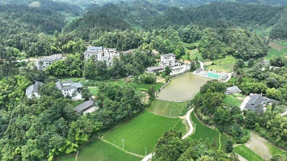红河村：民宿提档升级 避暑旅居火热预定