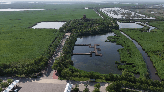 南大港湿地上榜沧德衡跨区域精品旅游线路