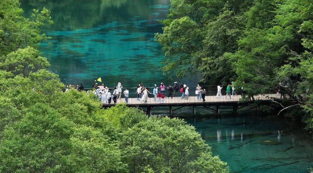九寨沟湖水靠颜料染色？回应来了