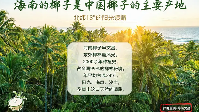 椰子水禁忌人群专题解读 核心知识全梳理