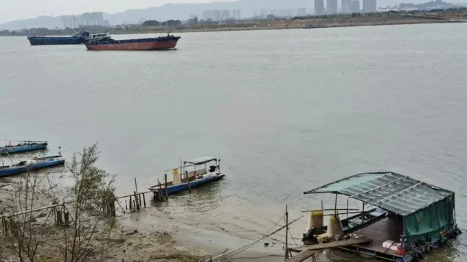 平沙岛的番外篇 西江河鲜美食