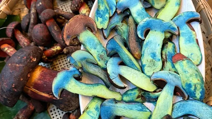 丽江古城地道美食指南 避景区预制菜坑 选滇味不踩雷