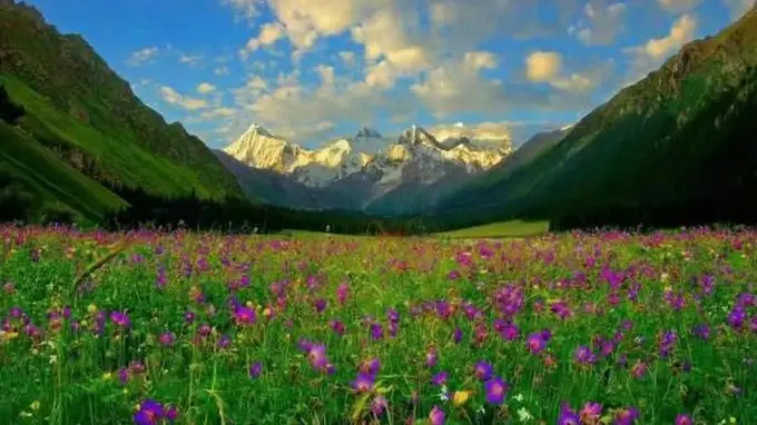 伊犁河谷全域旅游攻略：四季皆有胜景 自驾徒步深度游食宿全指南