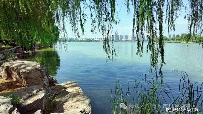 来商丘日月湖赴一场绿荫秘境的清凉之约