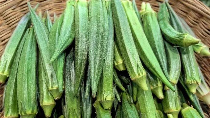 立秋后，提醒：少吃茄子豆角，多吃这4种黄金菜，不燥不疲，腿脚有力精神足，元气满满过秋天！