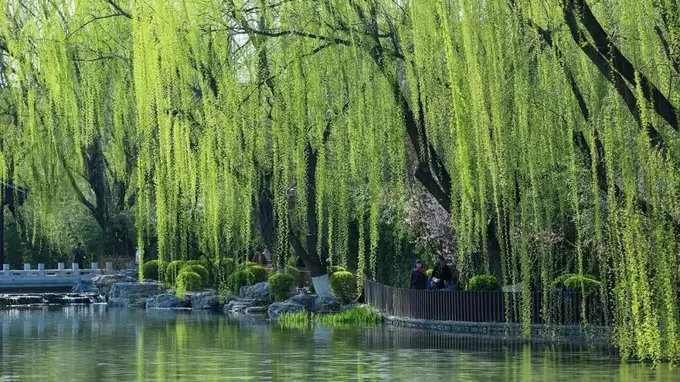 没有朋友圈的古人,怎么和同窗说再见
