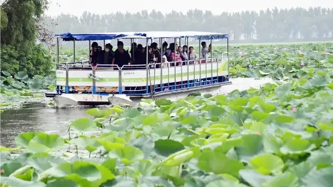 山海夏凉 || 这抹“胭脂色”,是辽宁盛夏最温柔的注脚
