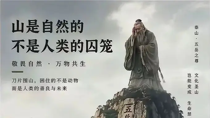 泰山滚刀网的本质