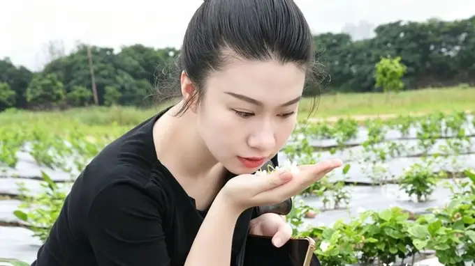 闽侯竹岐荒芜滩地变身赏花点