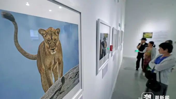 定格自然之美!国际野生生物摄影展亮相杭州