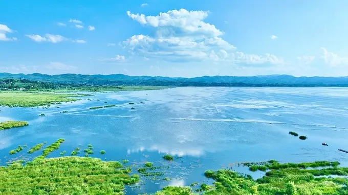 贵州毕节:百年夫妻古树迎客来 高原湿地绘就盛夏清凉画卷