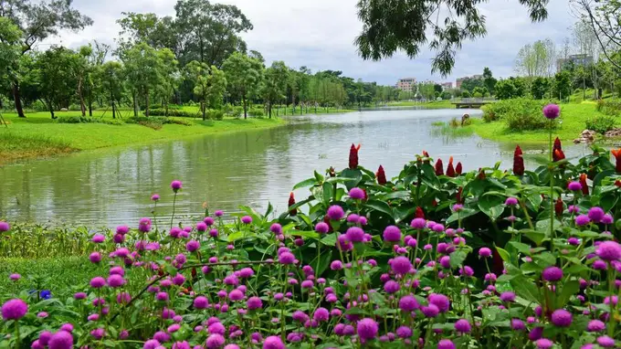 广州花都香水花园开园迎客,八大主题园区打造芳香疗愈空间
