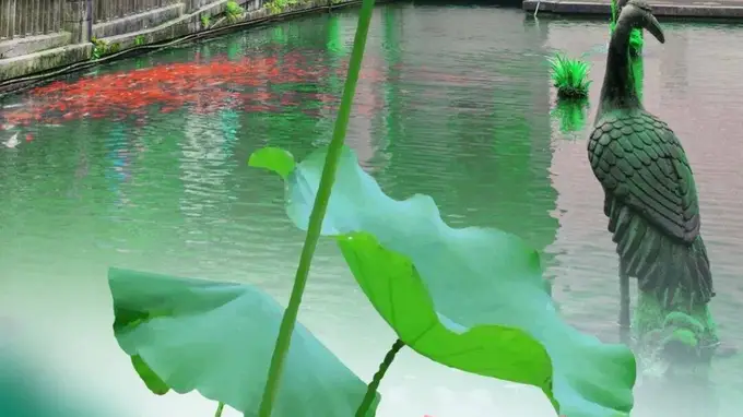 大暑寻清凉，漫步滴水洞，尽享山林清欢