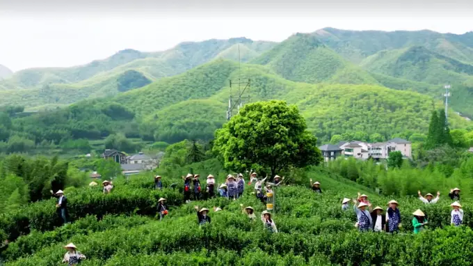 3：新茶道降临的流量密码 健康平替与宋韵复刻的碾茶抹茶热销