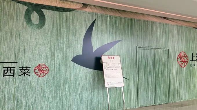 48元6只小笼包的鼎泰丰再闭店 为何海外高歌猛进本土遇冷